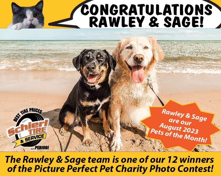 August 2023 Picture Perfect Pet of the Month: Rawley and Sage 