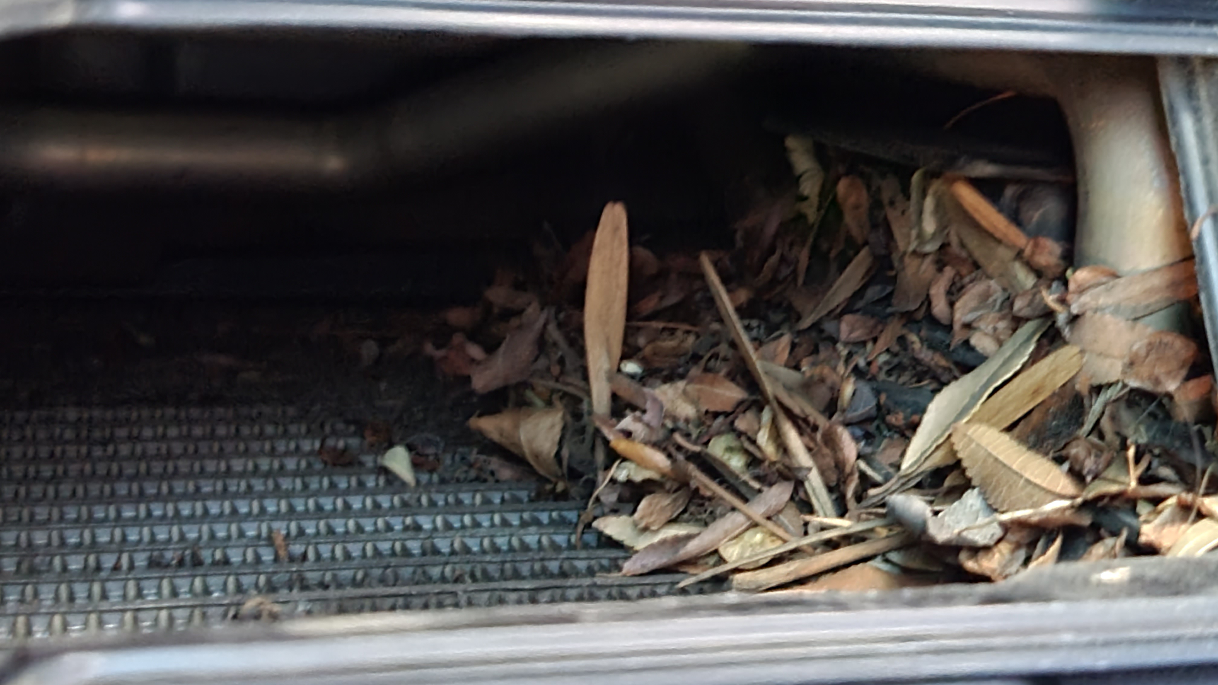 When was the last time you changed your cabin air filter?