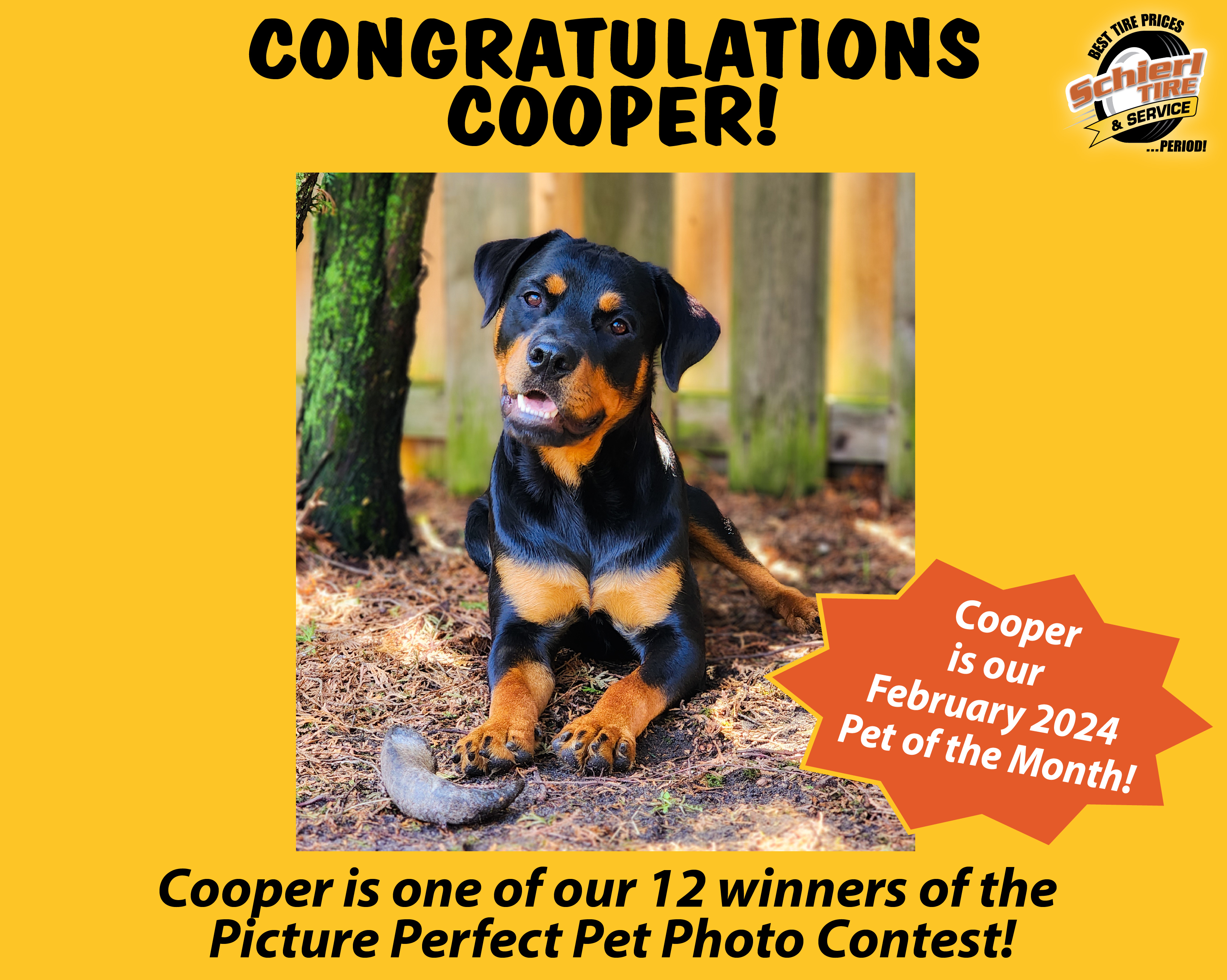 February 2024 Picture Perfect Pet of the Month: Cooper