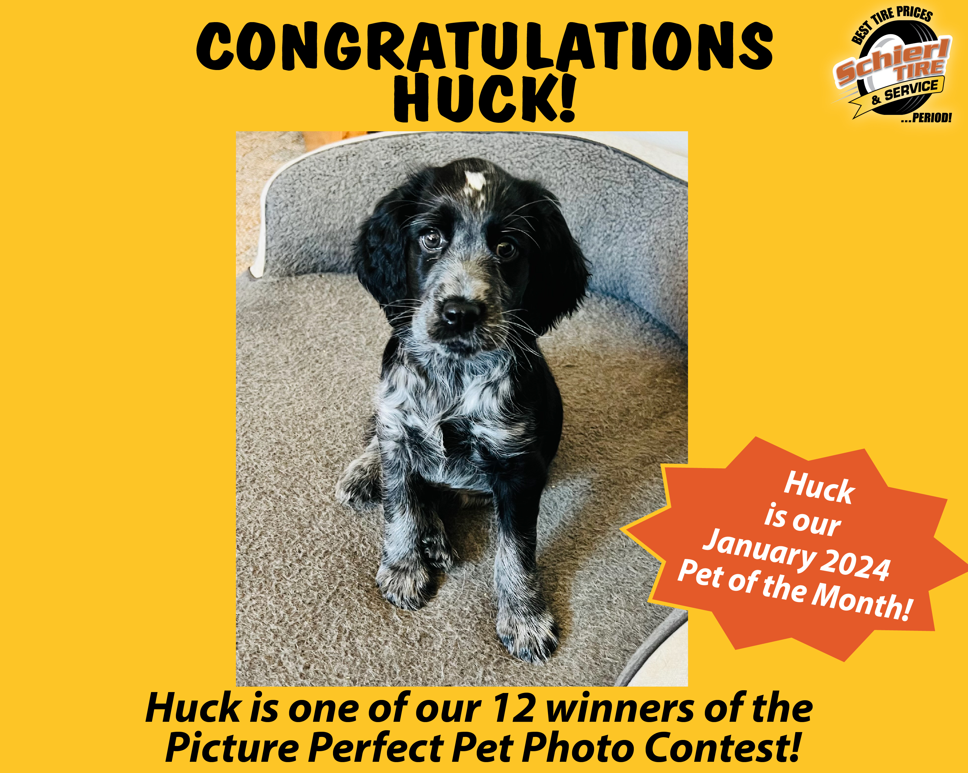 January 2024 Picture Perfect Pet of the Month: Huck