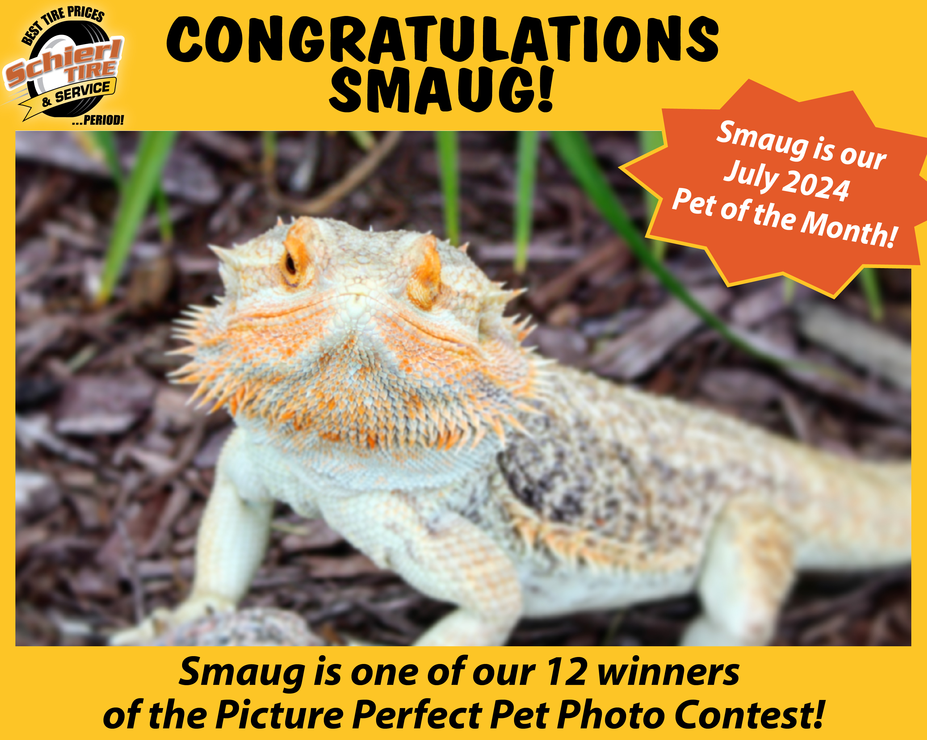 July Picture Perfect Pet of the Month: Smaug