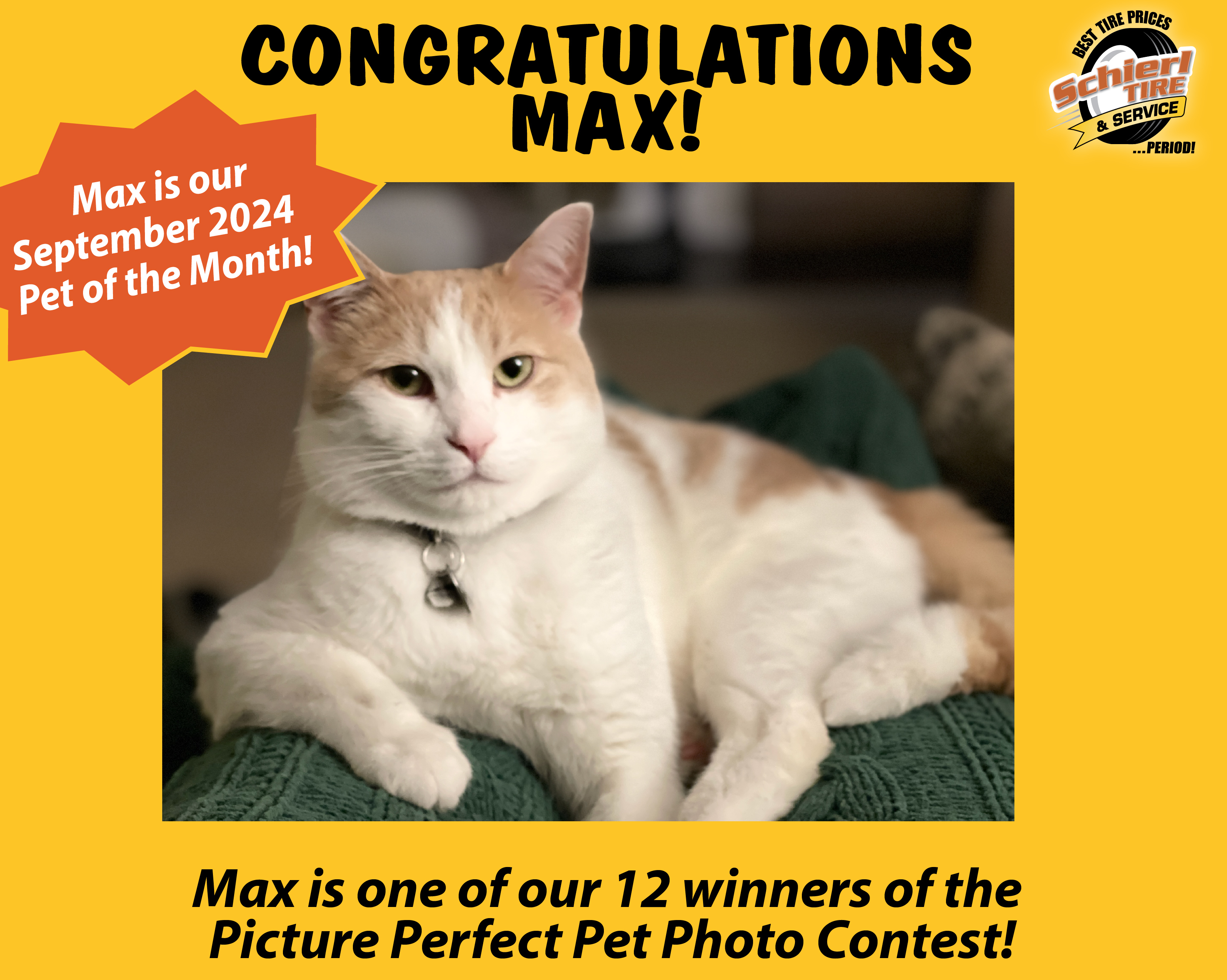 September 2024 Picture Perfect Pet of the Month: Max